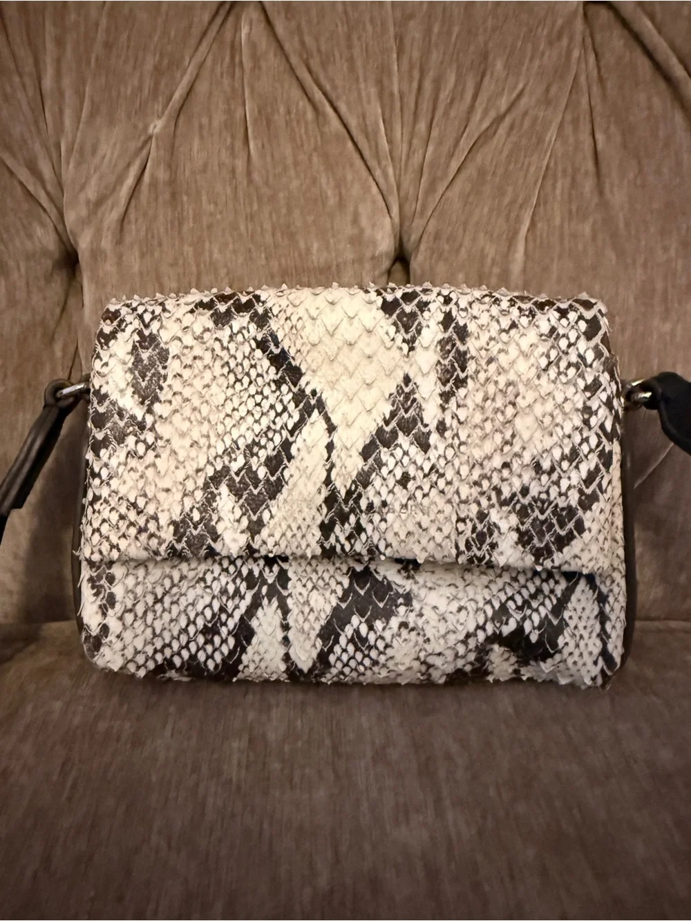 Aimee Kestenberg Black & White Snake-Print Shoulder Bag